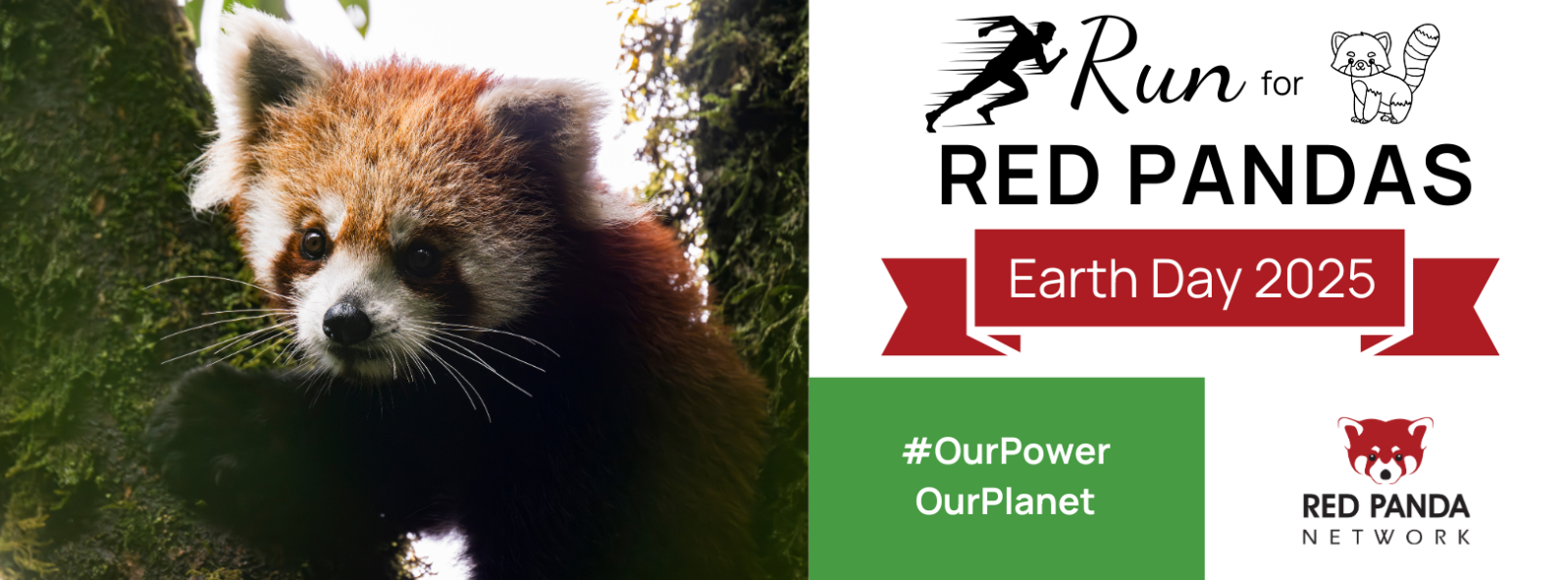 Run for Red Pandas 2026